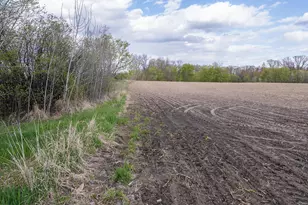 Parcel A - 20Ac 465th St, Sunrise Township, MN 55032 - Photo 1