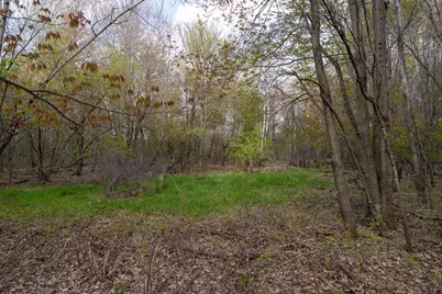 Tbd-38Ac 465th Street, Sunrise Township, MN 55032 - Photo 23