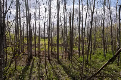 Tbd-38Ac 465th Street, Sunrise Township, MN 55032 - Photo 43