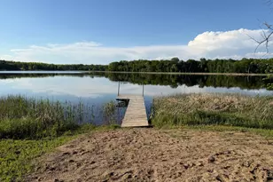 17231 State Hwy 27 W, Kensington, MN 56343 - Photo 41