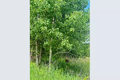 0000 Paradise Trail NW, Isanti, MN 55040 - Photo 9
