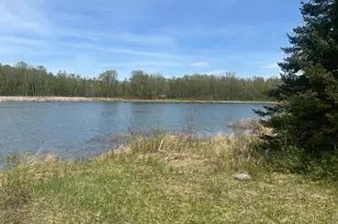 40782 Little Sugar Lake Rd, Cohasset, MN 55721 - Photo 5