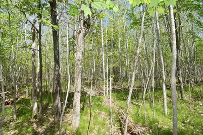 Lot 10 Fremsted Road, Danbury, WI 54830 - Photo 7
