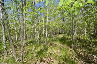 Lot 10 Fremsted Road, Danbury, WI 54830 - Photo 5