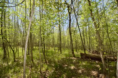 Lot 10 Fremsted Road, Danbury, WI 54830 - Photo 9