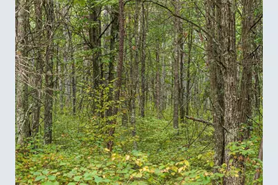 Lot I Sandbar Lane, Merrifield, MN 56465 - Photo 3