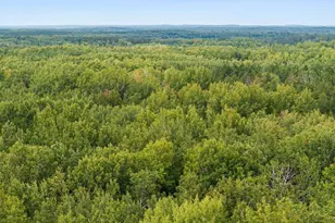 Lot I Sandbar Ln, Merrifield, MN 56465 - Photo 1
