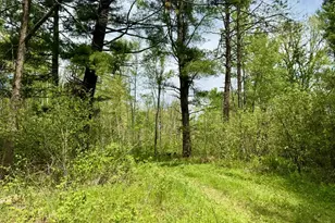 Xyz County Road 39, Willow River, MN 55795 - Photo 1