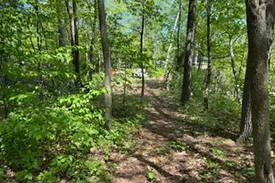 2236 Red Oak Ln, Motley, MN 56466 - Photo 13