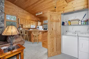 51446 Pine Point Rd, Bigfork, MN 56628 - Photo 29