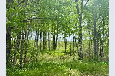 Xyz Dailey Lake Road, Willow River, MN 55795 - Photo 5