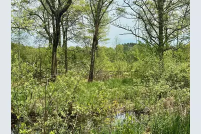 Xyz Dailey Lake Road, Willow River, MN 55795 - Photo 3