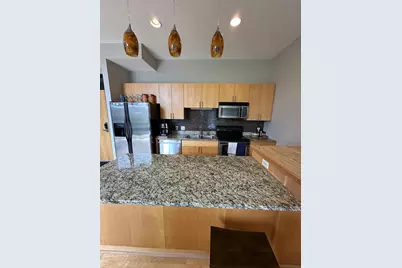 9 W Franklin Avenue #306, Minneapolis, MN 55404 - Photo 1