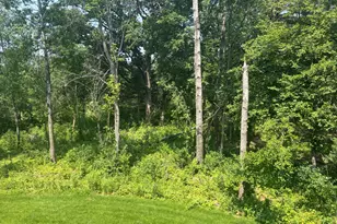 10393 Pheasant Rdg Rd, Victoria, MN 55318 - Photo 49