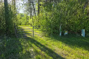 3781 Co Rd 10, Littlefork, MN 56653 - Photo 21