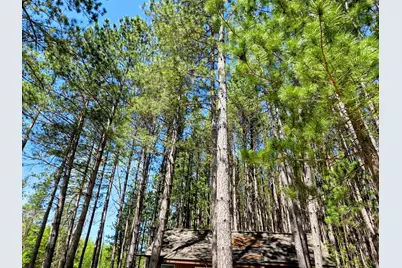 3781 County Road 10, Littlefork, MN 56653 - Photo 19