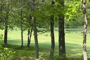 Tb County Road 16, Pequot Lakes, MN 56472 - Photo 1
