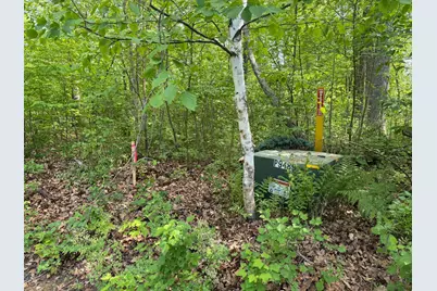 Tb County Road 16, Pequot Lakes, MN 56472 - Photo 9