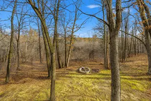 31945 Forest Blvd, Stacy, MN 55079 - Photo 27