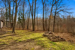31945 Forest Blvd, Stacy, MN 55079 - Photo 33