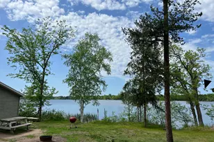 38013 Danberry Trail, Pillager, MN 56473 - Photo 19