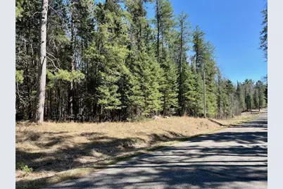 Tbd New Melahn Dr. (Lot 10(, Lake George Township, MN 56458 - Photo 1