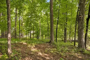 16318 Limerick Ln, Minnetonka, MN 55345 - Photo 47