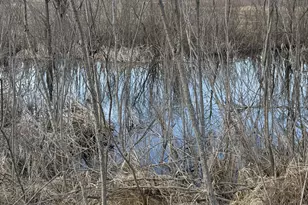 982 County Rd 10 NE, Osakis, MN 56360 - Photo 7