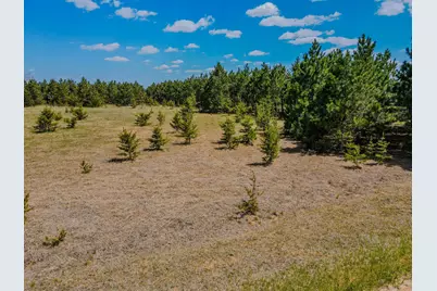 Tbd 129th Avenue, Menahga, MN 56464 - Photo 7