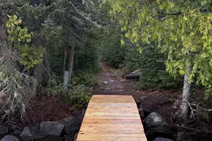 8016 Gunflint Trail, Grand Marais, MN 55604 - Photo 19