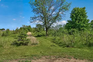 17727 Hwy 7, New Germany, MN 55367 - Photo 5