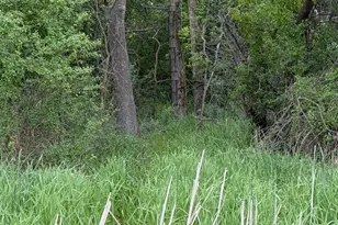 17727 Hwy 7, New Germany, MN 55367 - Photo 55