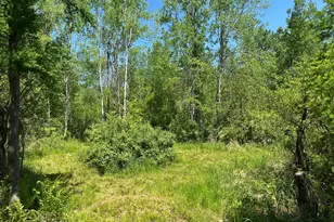 N7642 Crooked Rd, Ladysmith, WI 54848 - Photo 31