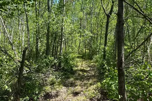 N7642 Crooked Rd, Ladysmith, WI 54848 - Photo 27