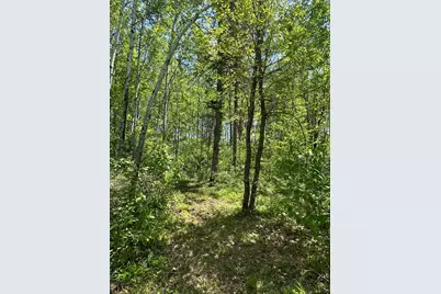 N7642 Crooked Road, Ladysmith, WI 54848 - Photo 29