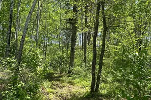 N7642 Crooked Rd, Ladysmith, WI 54848 - Photo 29