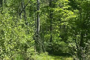 N7642 Crooked Rd, Ladysmith, WI 54848 - Photo 33
