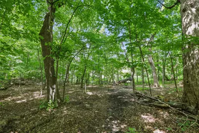 9142 Woodland Drive, Saint Bonifacius, MN 55375 - Photo 49