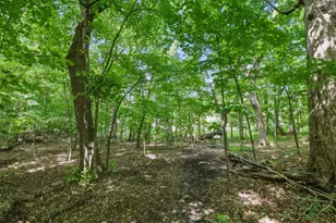 9142 Woodland Dr, Saint Bonifacius, MN 55375 - Photo 49