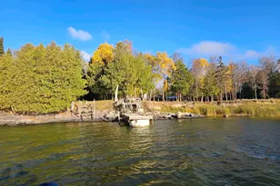 1266 Brush Island, Angle Inlet, MN 56711 - Photo 5