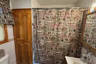 56161 Whitefish Trl, Squaw Lake, MN 56659 - Photo 27