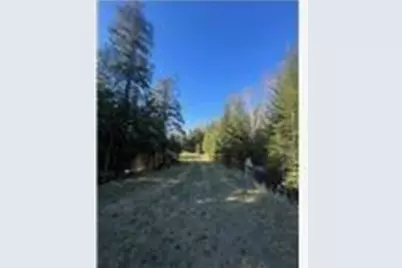 56161 Whitefish Trail, Squaw Lake, MN 56659 - Photo 29