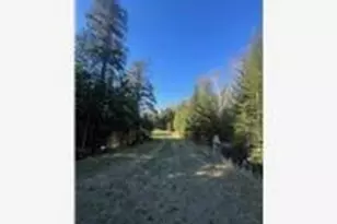 56161 Whitefish Trl, Squaw Lake, MN 56659 - Photo 29