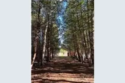 56161 Whitefish Trail, Squaw Lake, MN 56659 - Photo 31