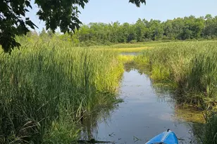 42315 Co Rd 117, Cohasset, MN 55721 - Photo 29