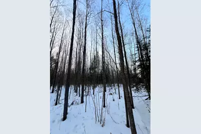Tbd County Rd 67, Grand Rapids, MN 55744 - Photo 17