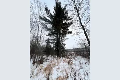 Tbd County Rd 67, Grand Rapids, MN 55744 - Photo 29