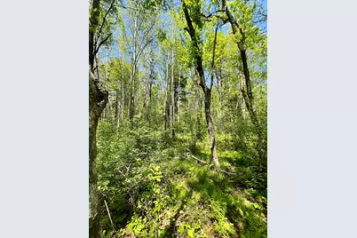 Xxx Co Rd 67, Grand Rapids, MN 55744 - Photo 3