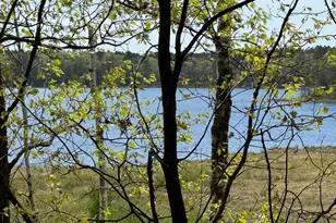 86927 Cori Ln, Sturgeon Lake, MN 55783 - Photo 5