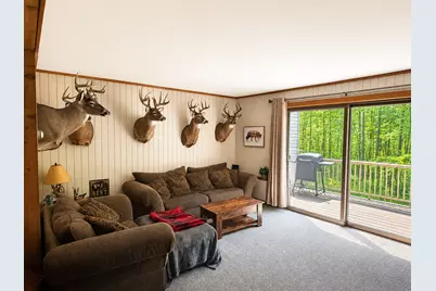 388 Quadna Mountain Road, Hill City, MN 55748 - Photo 5